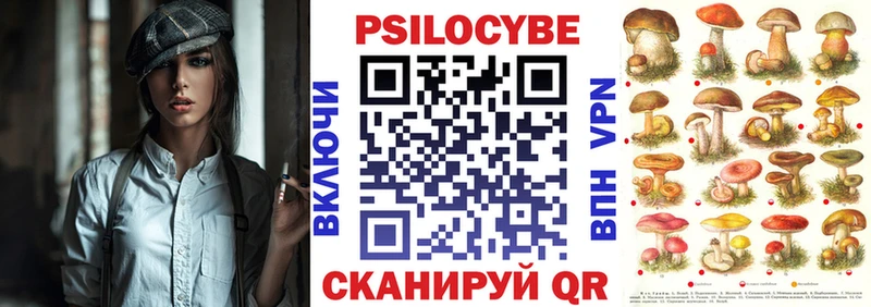 Галлюциногенные грибы Psilocybine cubensis  где продают   Любань 